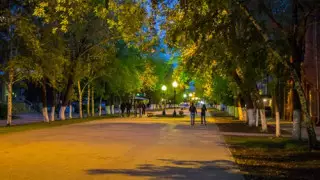 Улицу в Петропавловске предлагают внести в Книгу рекордов Гиннесса