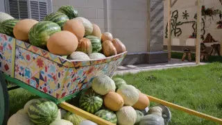 Кому нельзя есть арбузы и дыни, рассказала диетолог