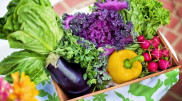На сколько подорожали продукты в Казахстане за год
