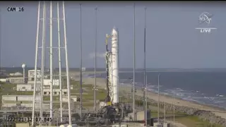 Семь пицц отправили на МКС для астронавтов