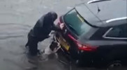 "Собака-помогака" вызволила авто из воды и стала героем Сети