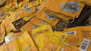 Заваленное упаковками от семечек ущелье сняли под Алматы