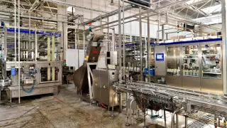 В СКО половина произведенного молока идет на переработку