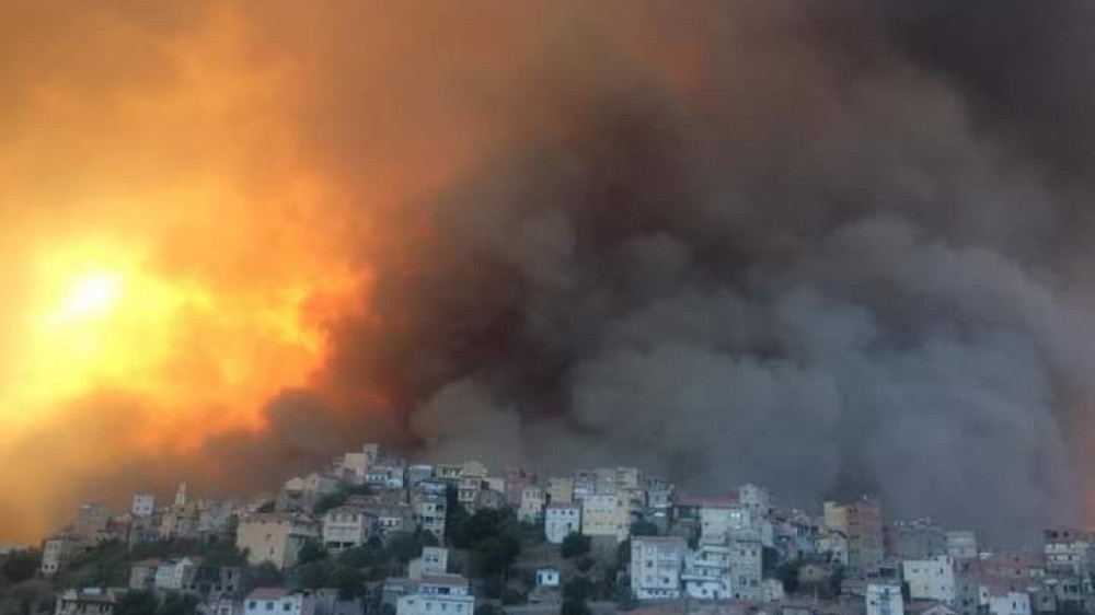 В Алжире толпа сожгла подозреваемого в поджоге лесов