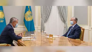Президент Токаев принял Даниала Ахметова