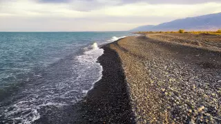 Подробности массовой драки на Алаколе рассказали в акимате
