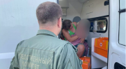 Полуторагодовалая девочка 4 дня провела в лесу одна в России