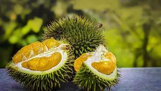 Названы десять самых отвратительных блюд в мире