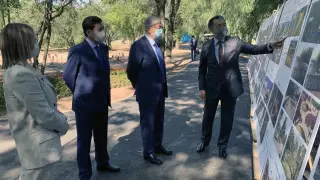 Сагинтаев показал Токаеву "Новый Алматы"