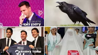 "Қарғадан кешірім сұраған видео күтеміз" - Қазнеттегі мемдер