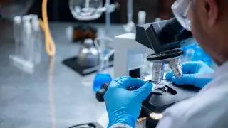 В США не смогли сделать конкретный вывод о происхождении COVID-19