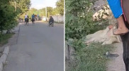 Подростки устроили кокпар с собакой в Алматинской области