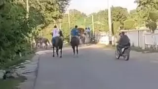 Полицейские нашли устроивших кокпар подростков в Алматинской области