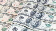 Курс доллара продолжает расти
