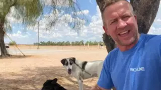 Великобритания эвакуировала из Кабула более 170 животных