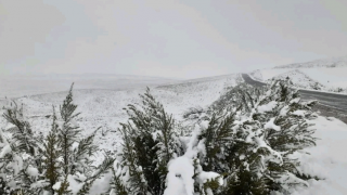 Снег в провинции Западный Кейп. © news24.com