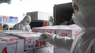 Выдвинута новая гипотеза появления коронавируса в Ухане