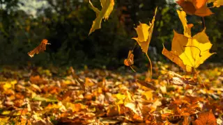 Какой будет погода в сентябре