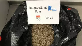 Немецкие таможенники изъяли наркотики на 2,3 миллиарда евро
