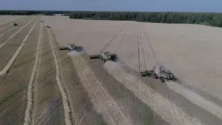 Чем живет один из самых больших зерносеющих районов в стране