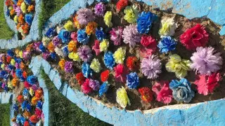 "Кладбищенские" цветы в уличных клумбах возмутили жителей Актау