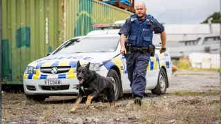 Напавшего на супермаркет в Новой Зеландии застрелили полицейские