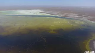 Блогер обратился к Президенту из-за радиоактивного хвостохранилища "Кошкар-Ата"