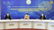 Аким Кызылординской области дала поручения по реализации Послания Президента