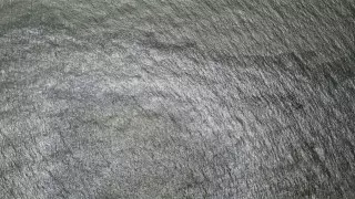 Густое пятно нефти появилось у берегов США после урагана