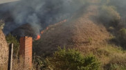 Сухостой горит на склоне горы близ Алматы