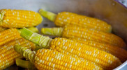 Врач посоветовала есть кукурузу для улучшения здоровья