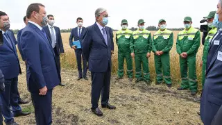 Делать это преждевременно - Токаев об экспортной пошлине на зерно