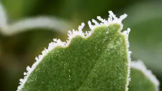 Сильные дожди и заморозки: погода в Казахстане на 3 дня