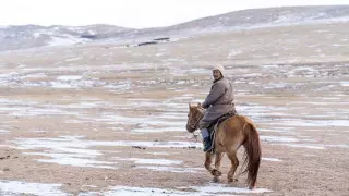 СМИ: Монголию захлестнула необъяснимая волна коронавируса