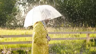 Максимальный уровень погодной опасности объявили во Франции