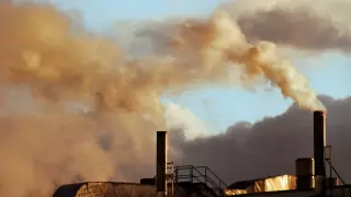 Казахстан могут постичь плачевные последствия - сенатор об экологии