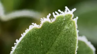 Какая погода ждет казахстанцев 12 сентября