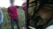 Житель ВКО украл лошадь и повез ее в легковушке