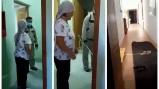 Балабақшадағы "улау" оқиғасы түсірілген видео жарияланды