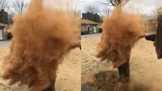 Как холостых датчан посыпают специями в их день рождения, показала блогер