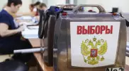 Выборы в России: эксперт поделился прогнозом