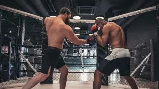 Лигу ММА создадут в США