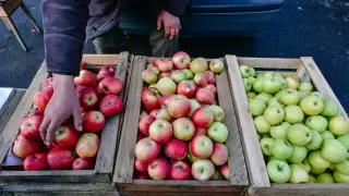 Как правильно выбрать и где дешевле купить осенние фрукты, рассказали казахстанские эксперты