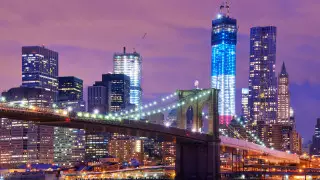 Небоскребы стали причиной гибели сотен птиц в Нью-Йорке