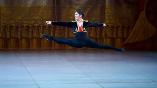 Ведущий солист "Астана Опера" покорил итальянских зрителей