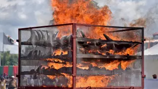 Около 2500 рогов индийских носорогов сожгли в Ассаме