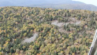 Все члены экипажа разбившегося в России самолета Ан-26 погибли