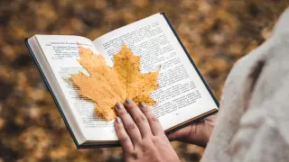 Книжный фестиваль пройдет ко Дню города в Алматы