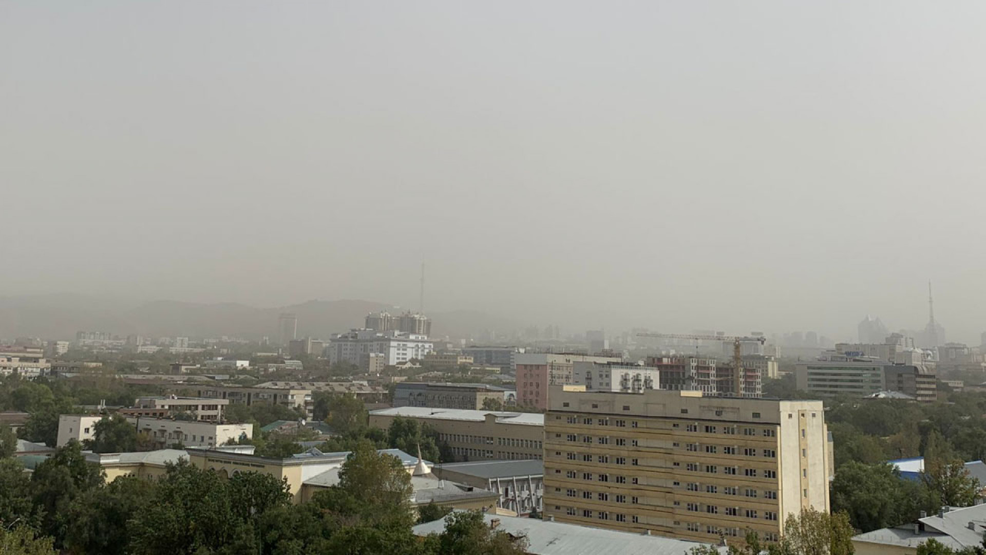 Буря в алматы сегодня. Буря в городе. Пыльные бури на Кубани. Пылевая буря Алтай. Пыльная буря книга.