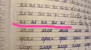 1-сынып оқушыларына "өл" деп жаздыртқан. Министрлік түсінік берді